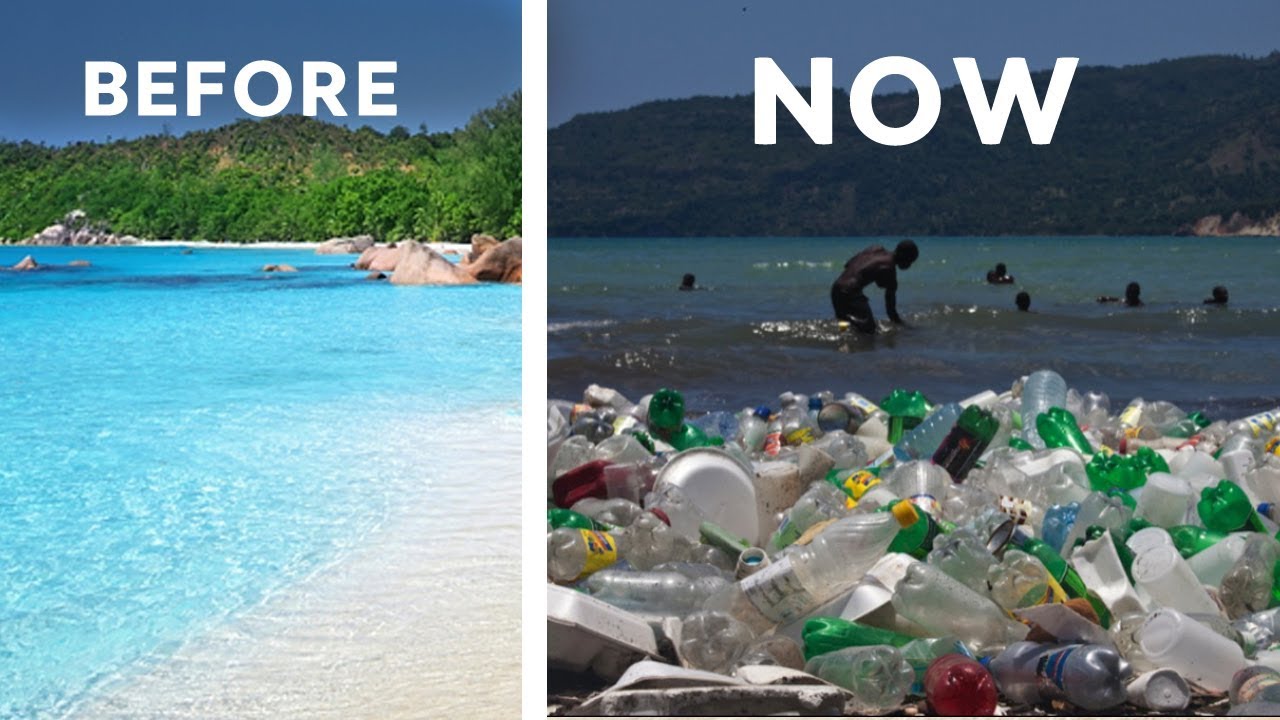 Before and After Pollution
